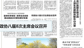 樂(lè)山日?qǐng)?bào)3月23日?qǐng)?bào)道：《推動(dòng)“做鋼鐵”向“做材料”轉(zhuǎn)變，德勝釩鈦——轉(zhuǎn)型升級(jí)邁向高端》